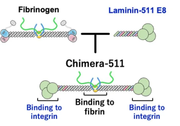 Fig. 2
