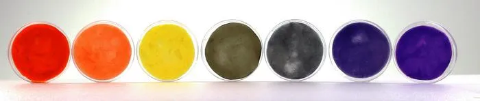 Full spectrum of bacterial colors