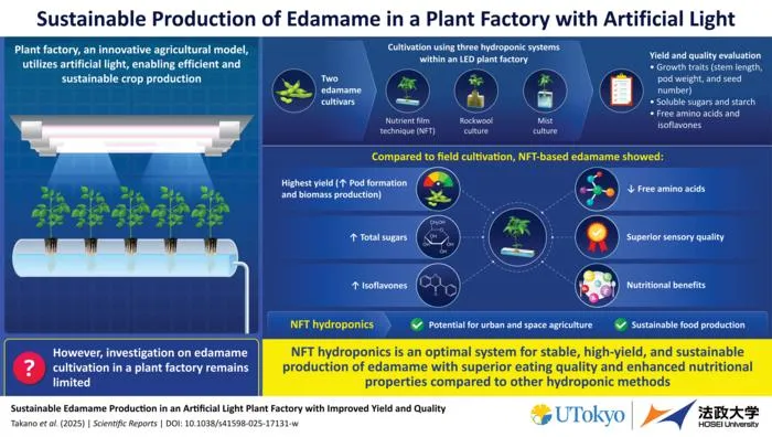 Sustainable edamame production in artificial light plant factories with enhanced yield and quality