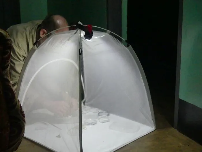 Dr Alvin Helden carrying out fieldwork2
