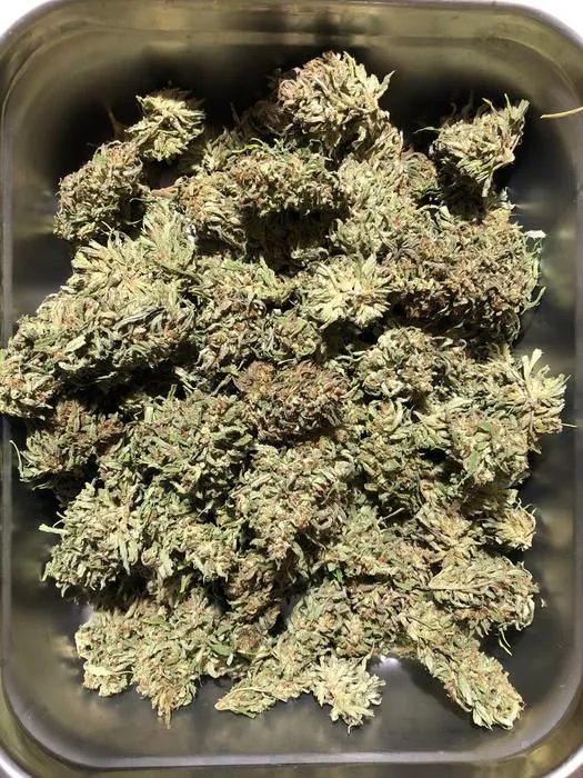Hemp flowers