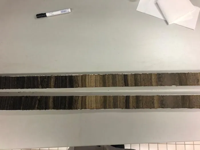 Sediment core