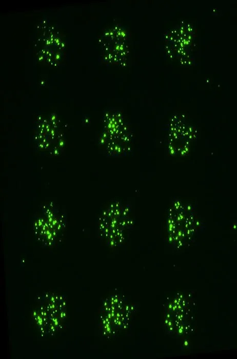 Micropattern of extracellular vesicles