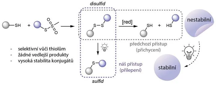 Graphical abstract
