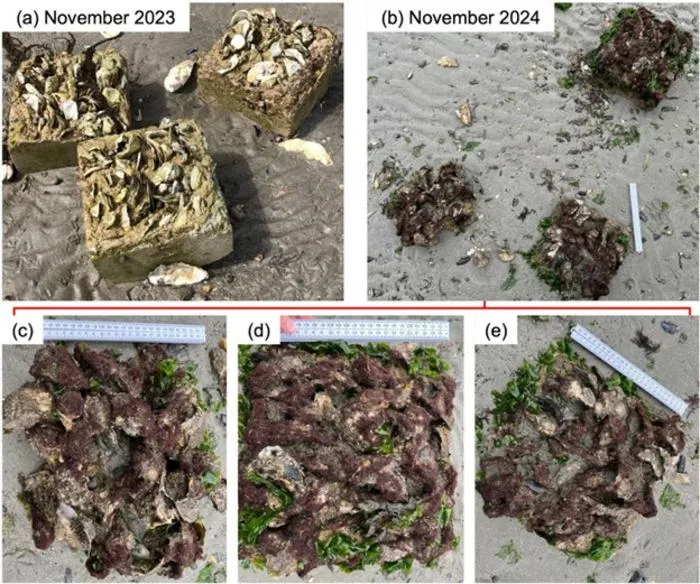 A specific Xiriton recipe over time