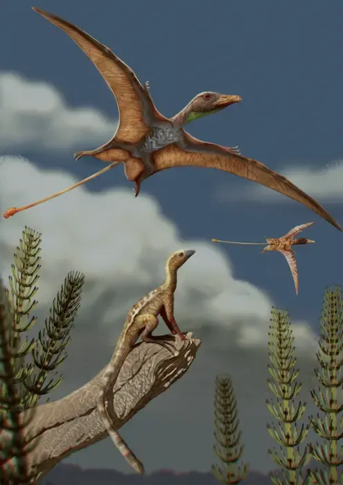 Late Triassic landscape