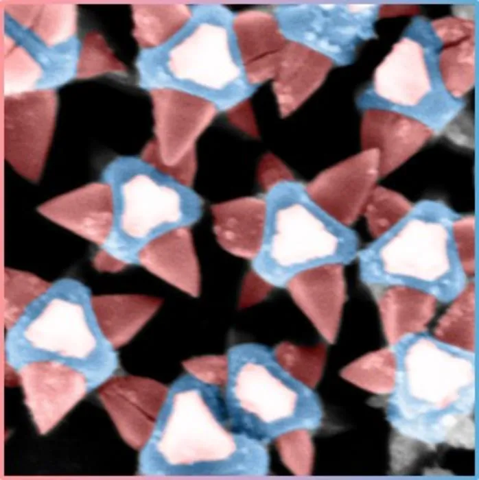 A scanning electron microscopy image of the MOF-on-MOF surface with sharp nanotips killing the bacteria