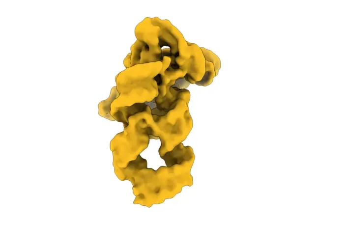 'Molecular Movie'