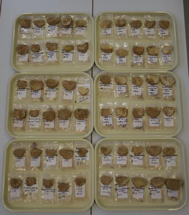 Cache of 60 tulas