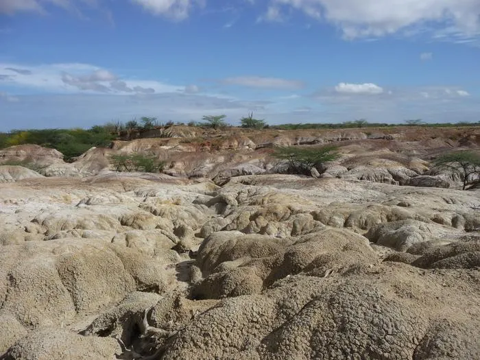 The fossils were discovered in Urumaco, Venezuela