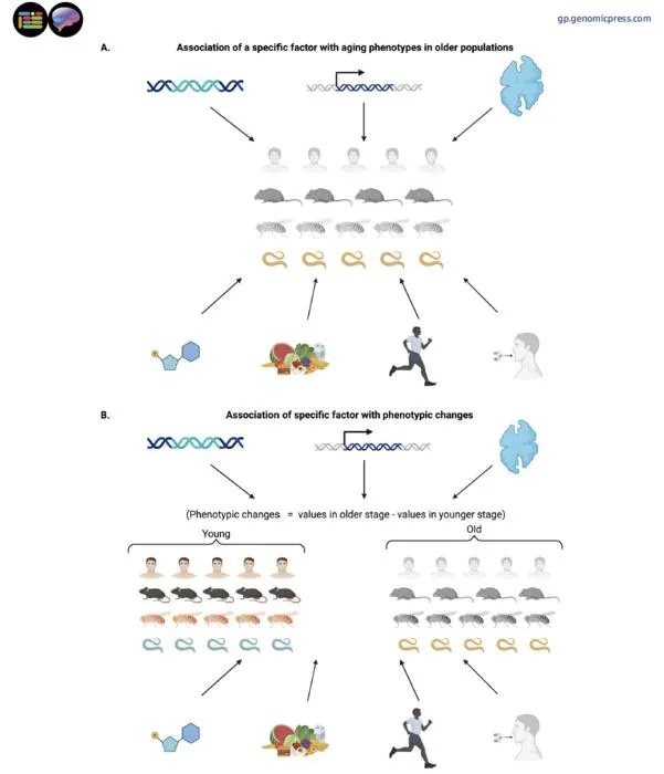 How to identify regulators of aging?