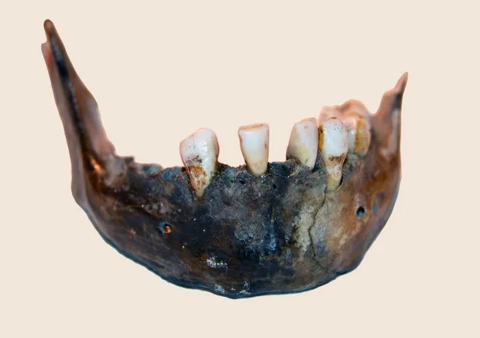 300,000-year old Homo sapiens genetic ancestry traced back to Southern African hunter-gatherers