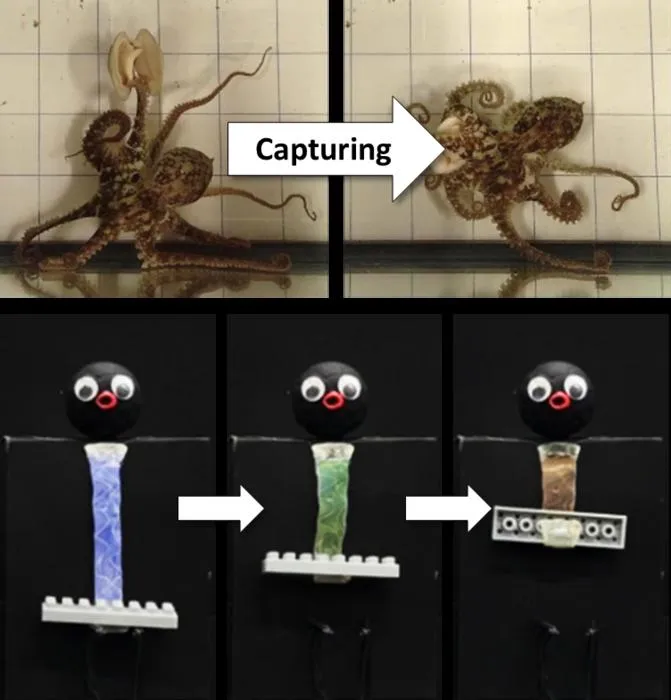 [Figure 3]