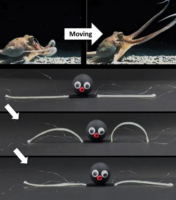 [Figure 2]