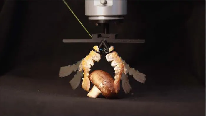 Bio-hybrid robots turn dead matter into living machines