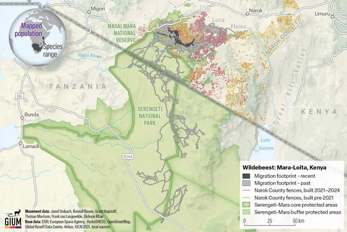 Wildebeest Migration Map
