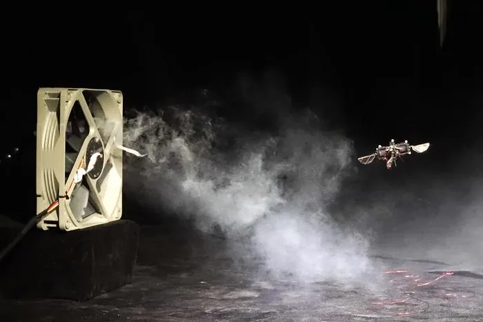 Robot and wind