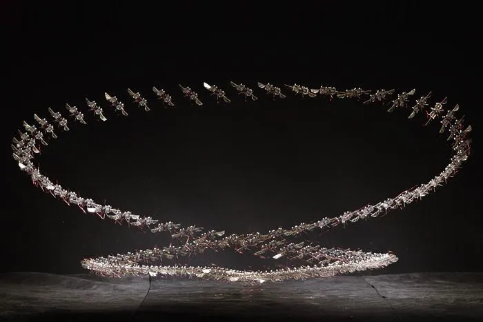 Microrobots