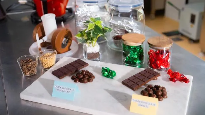 NUS scientists enhance the flavour of carob-based chocolate alternatives with novel methods 2
