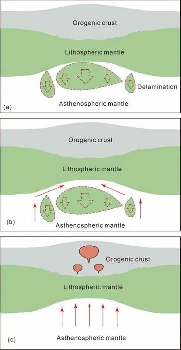 The formation of intracontinental rift orogens