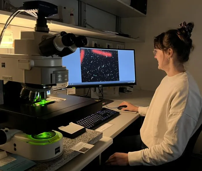 Working at the microscope