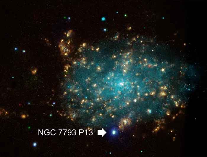 The galaxy NGC 7793 and NGC 7793 P13