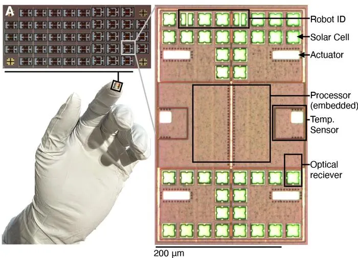 Robot Schematics