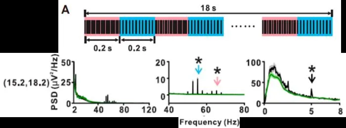 Fig. 2. Synchronous tracking of individual clicks and click trains in ECoG signals.