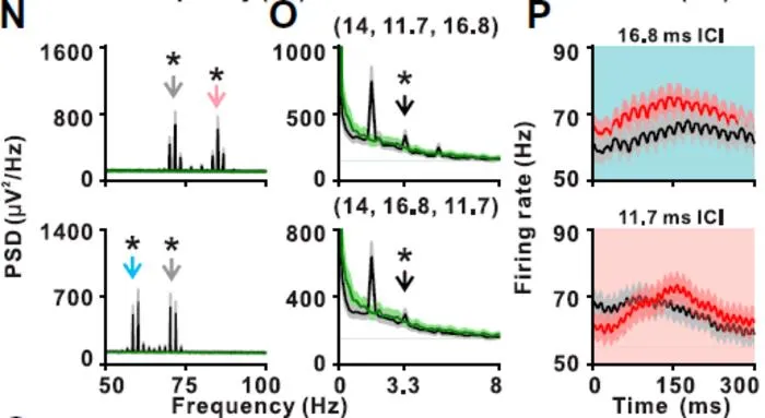 Fig. 3-2 Population neuronal responses in A1 for three temporal levels.