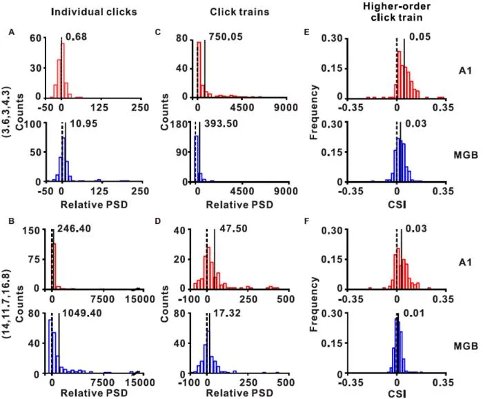 Fig. 3-4 Comparative analysis between A1 and MGB responses across temporal scales.