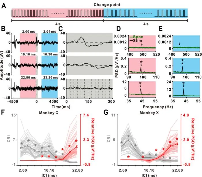 Fig. 1. ECoG responses to transitional click train.
