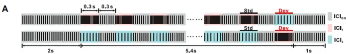 Fig. 3-1 Experimental setup of the Click-Train-Based Oddball Paradigm.