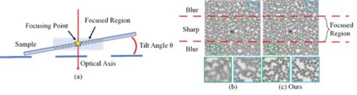 Figure 2. Illustration of imaging a 3D specimen under a microscope.