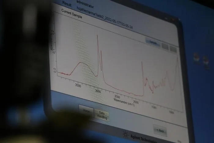The system allows monitoring the optimal point for harvesting the fruit.