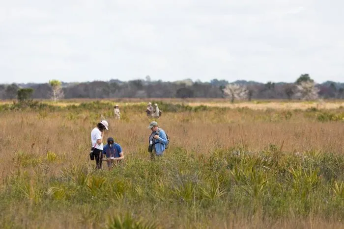 DeLuca Preserve