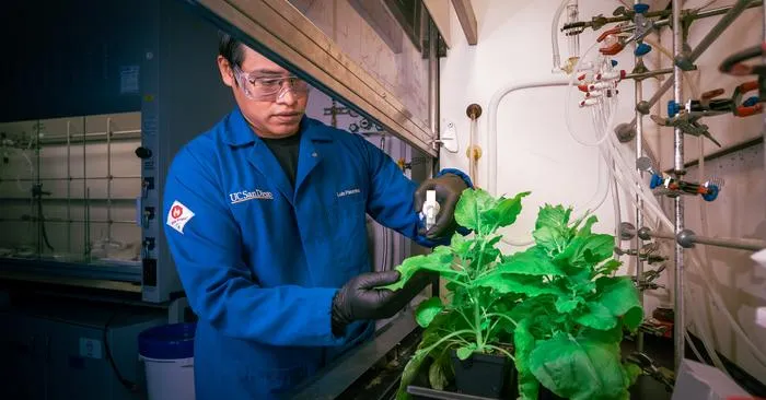 antibacterial plant spray 1