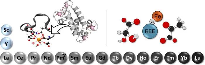 Symbolic image for both publications on REE