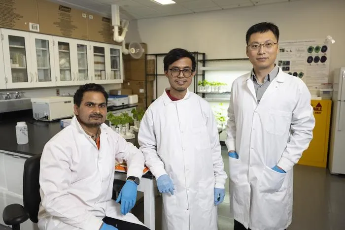 Research partners