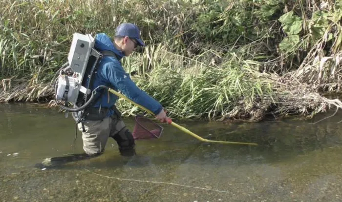 electrofishing