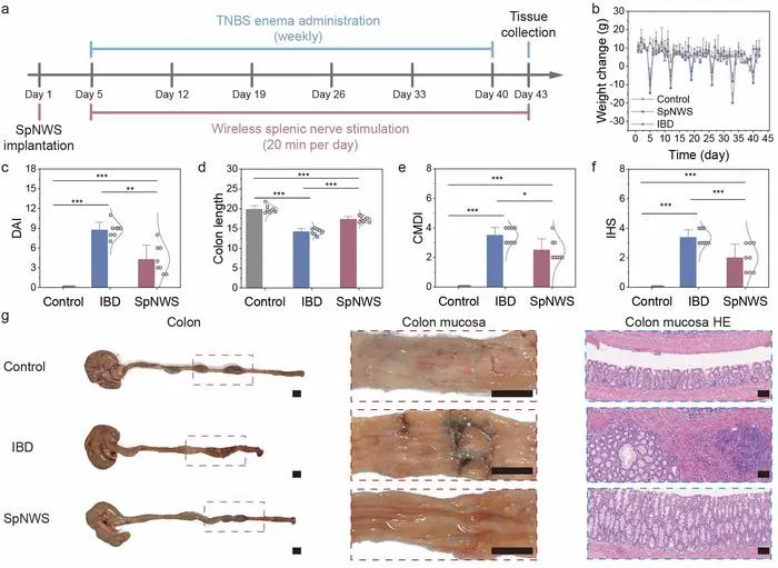 Electroceutical treatment of IBD with chronic SNS enabled by SpNWS.