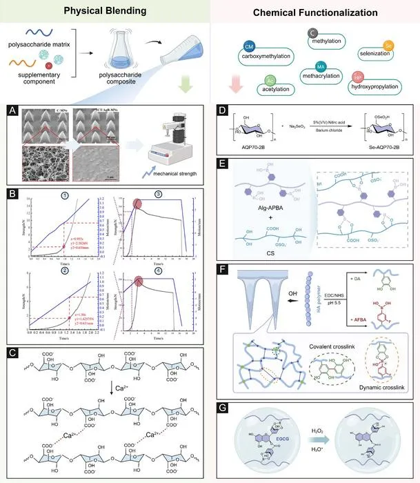FIG. 2. ILLUSTRATION OF PHYSICAL AND CHEMICAL MODIFICATION STRATEGIES OF POLYSACCHARIDES.