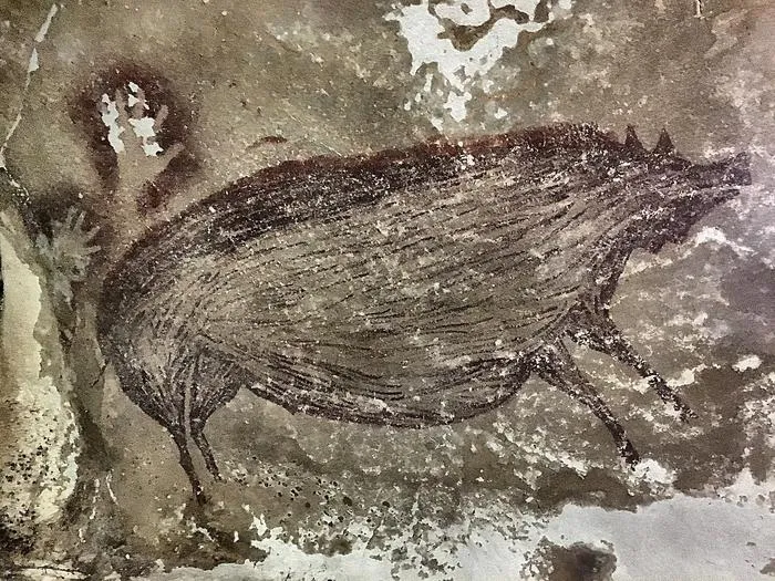 Prehistoric cave painting of two Sulawesi warty pigs, Leang Tedongnge Cave, Sulawesi, Indonesia