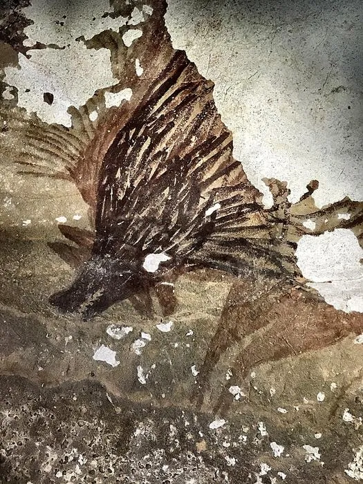 Prehistoric cave painting of two Sulawesi warty pigs, Leang Tedongnge Cave, Sulawesi, Indonesia