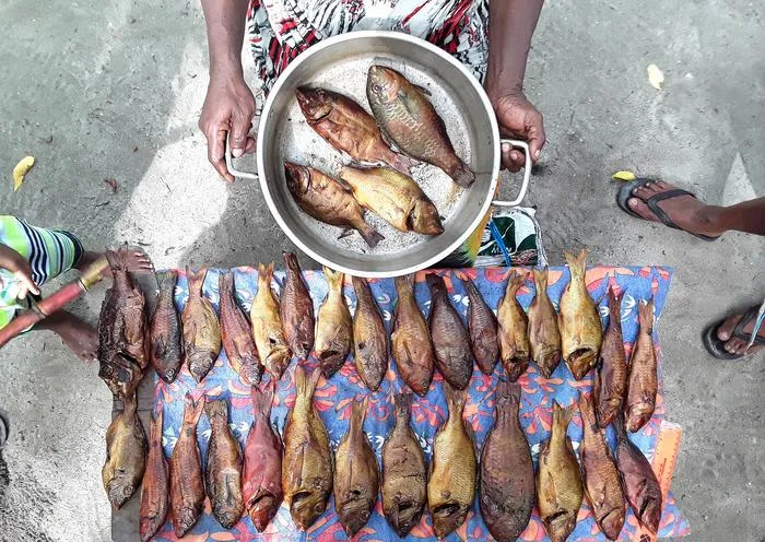 Fishing for food security