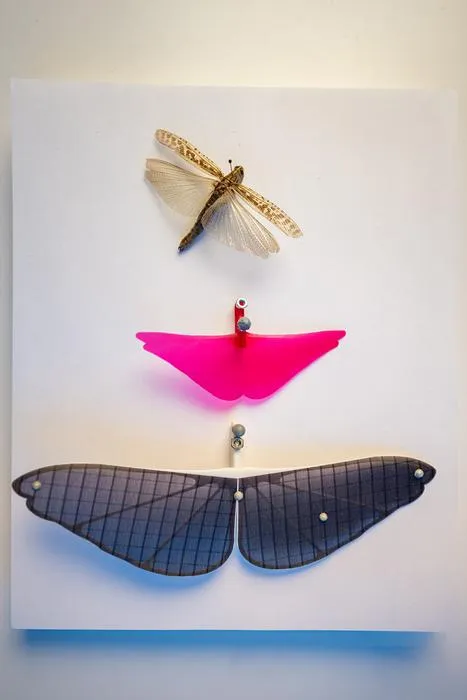 Grasshopper and model gliders