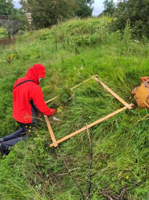Vegetation survey