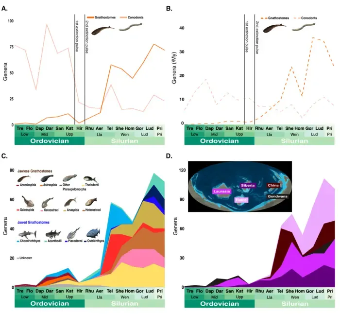 Genus-level diversity curves for gnathostomes from the Ordovician to the Silurian periods