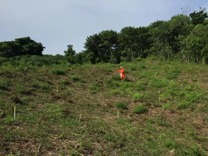 A team member spreads fertilizer on a recently abandoned pasture plot.