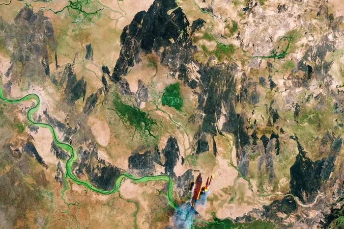 Global maps of forests.