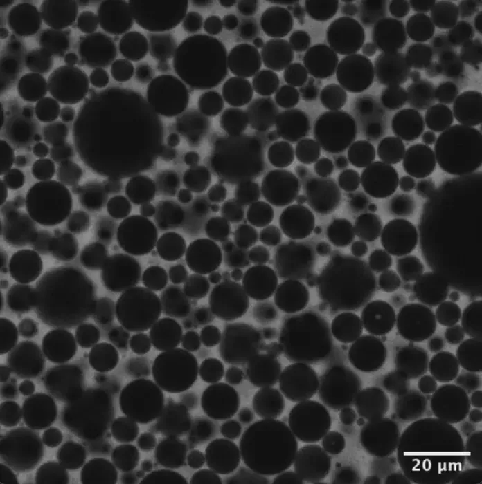 The Bubbles in Foam